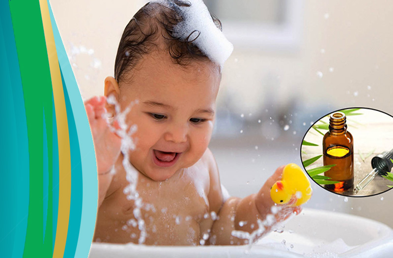 Tinh dầu tràm dùng để làm gì và có tốt không?