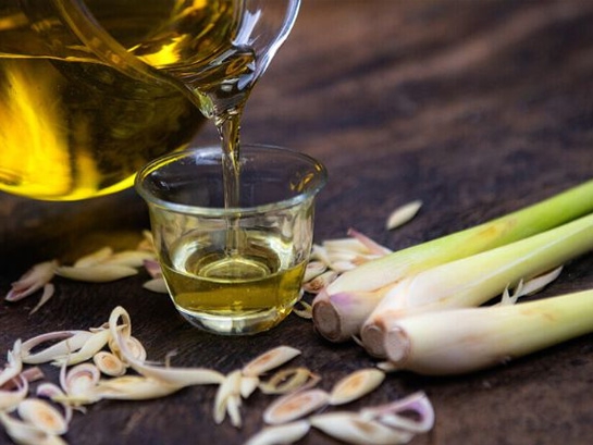 Tinh dầu sả có công dụng gì cho sức khỏe?