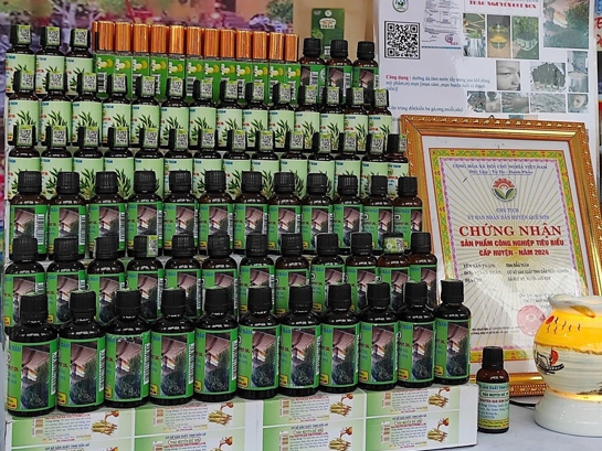 Câu chuyện về tinh dầu tràm Thảo Nguyên