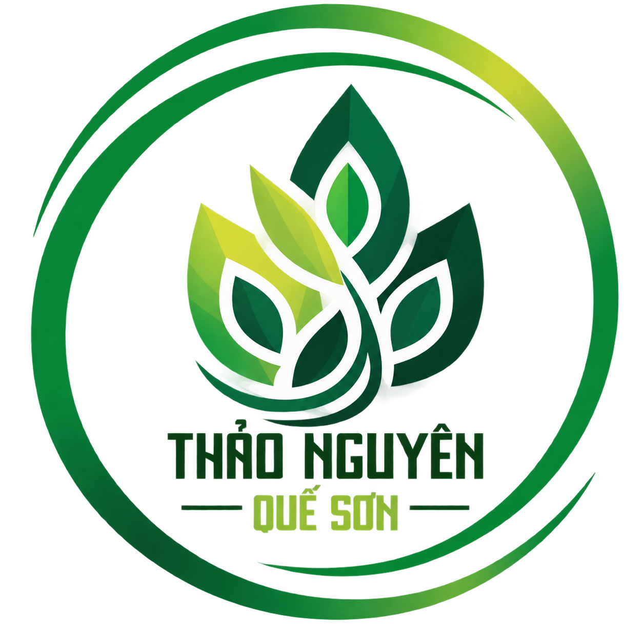 Dầu tràm Thảo Nguyên Quế Sơn